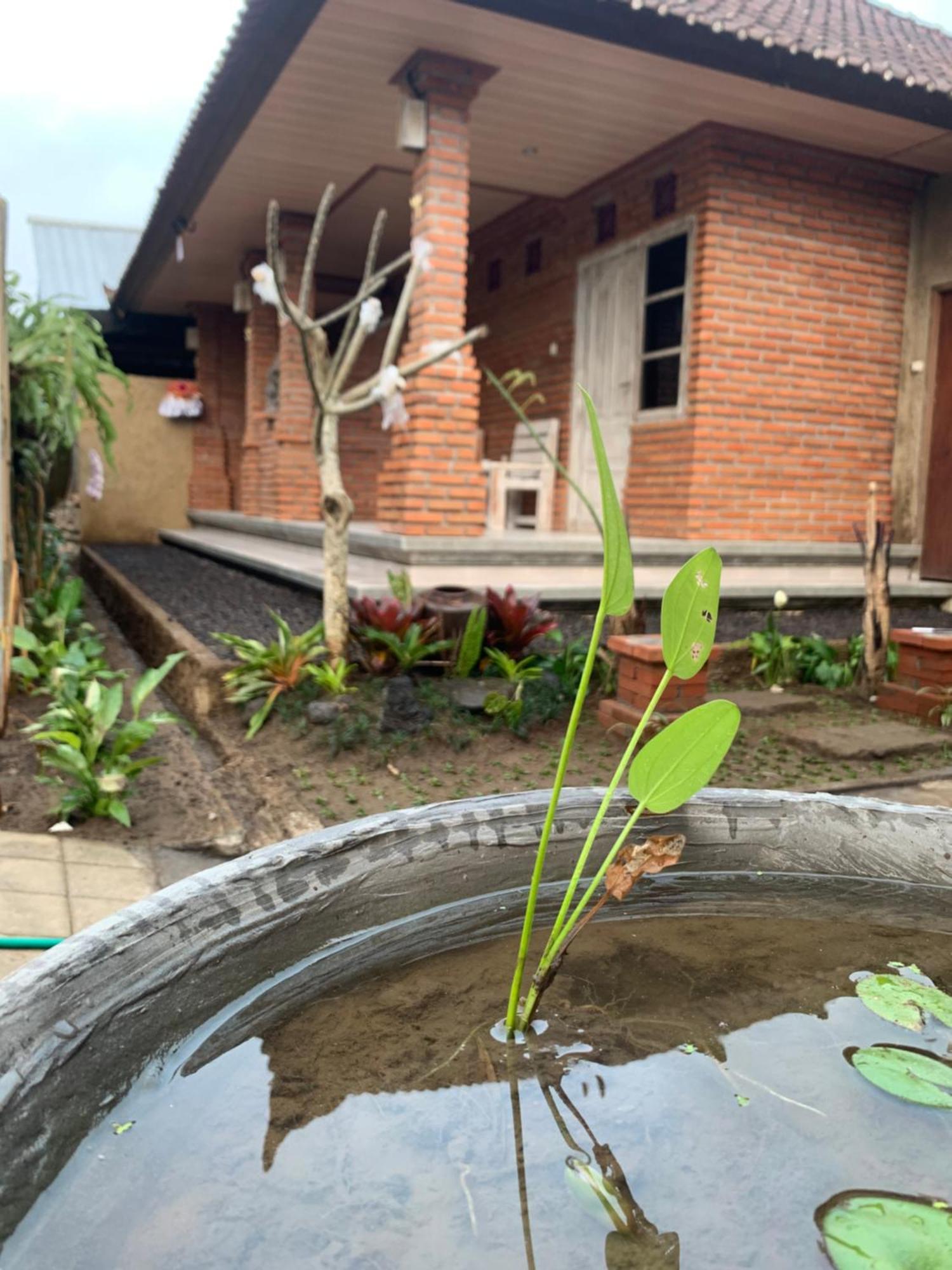 Ambara Guest House Tampaksiring Exterior foto